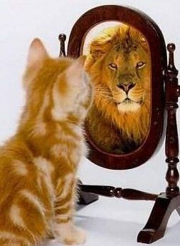 Как выбрать качественное зеркало Как выбрать качественное зеркало
