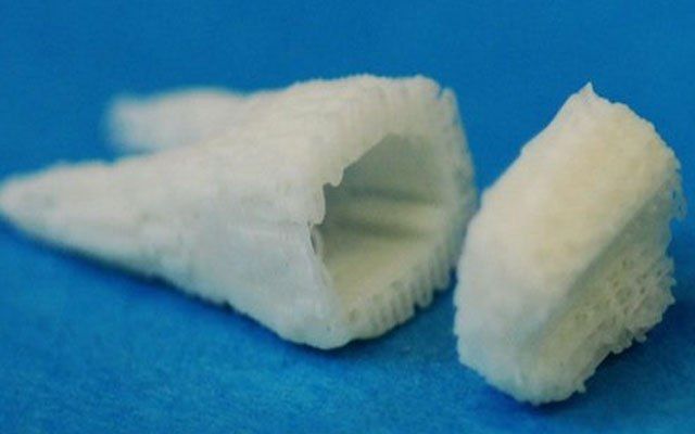 Китайские ученые вырастили зуб из мочи 🔴 Китайские ученые вырастили зуб из мочи